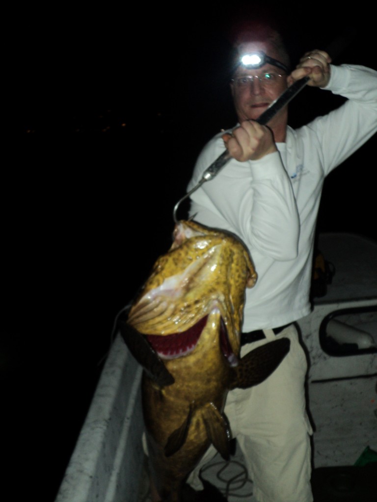 giant Goliath Grouper