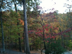 fall colors at Big Canoe