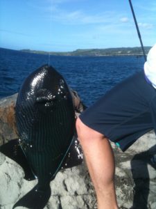 Maui Beach fishing from shore