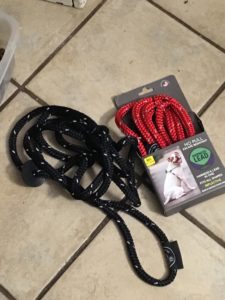 the Harness Leads Arrive